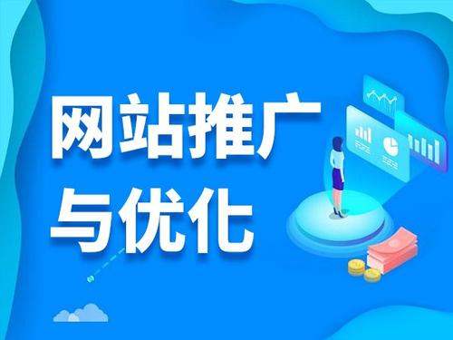 沙湖原种场电商类网络推广如何做才有更好的效果